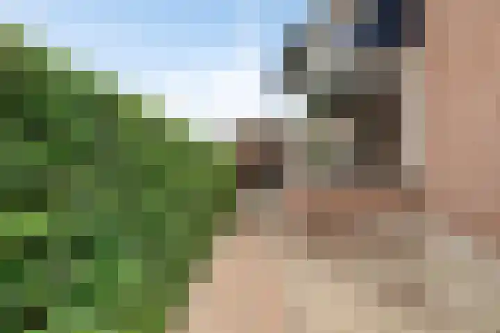 Jan van Kanrede 105 Capelle aan den IJssel thumbnail 4