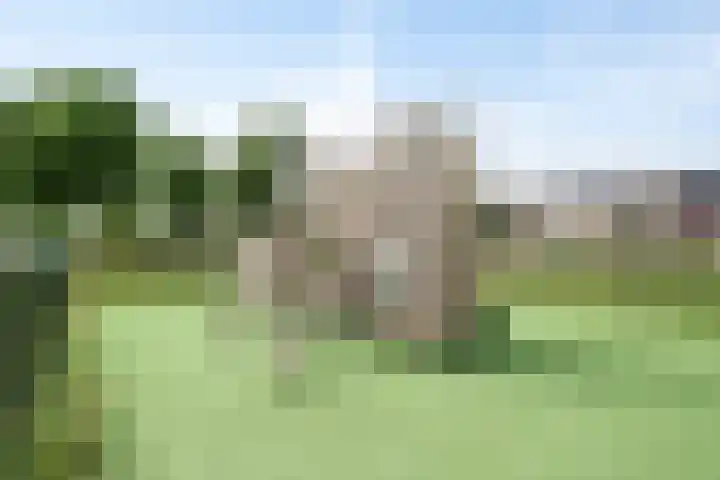 Jan van Kanrede 105 Capelle aan den IJssel thumbnail 40