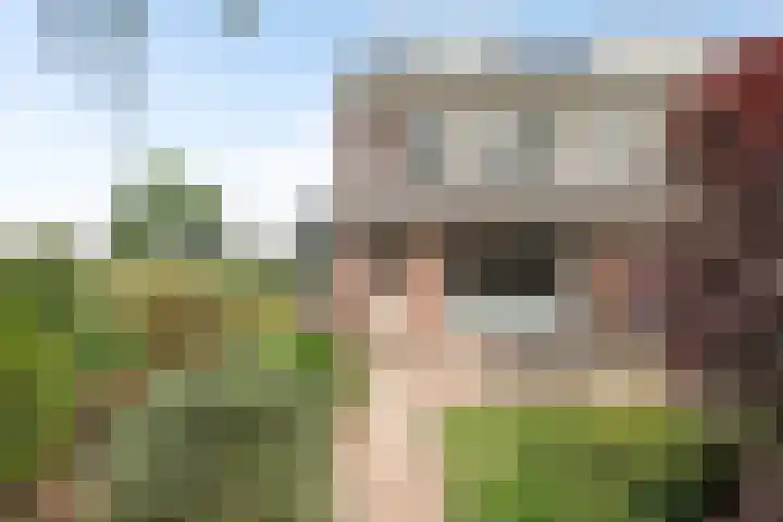 Jan van Kanrede 105 Capelle aan den IJssel thumbnail 42