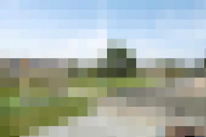 Jan van Kanrede 105 Capelle aan den IJssel thumbnail 5