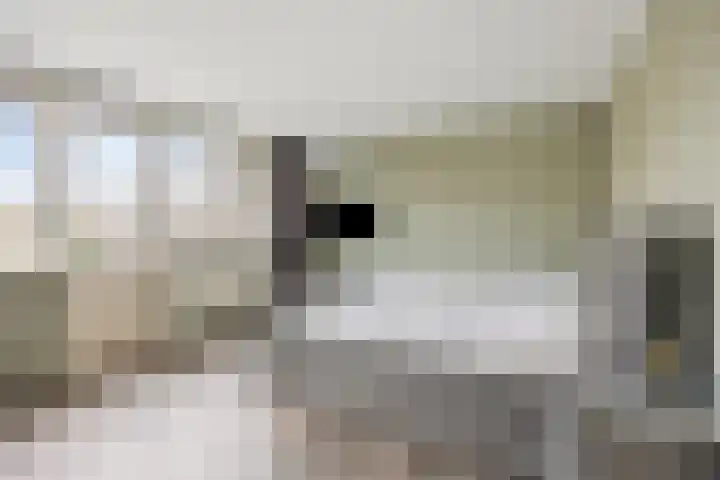 Jan van Kanrede 16 Capelle aan den IJssel thumbnail 11