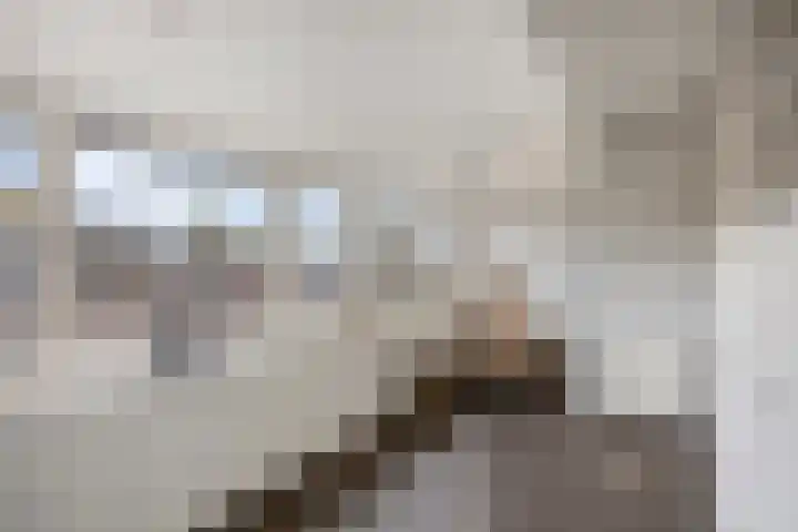 Jan van Kanrede 16 Capelle aan den IJssel thumbnail 19
