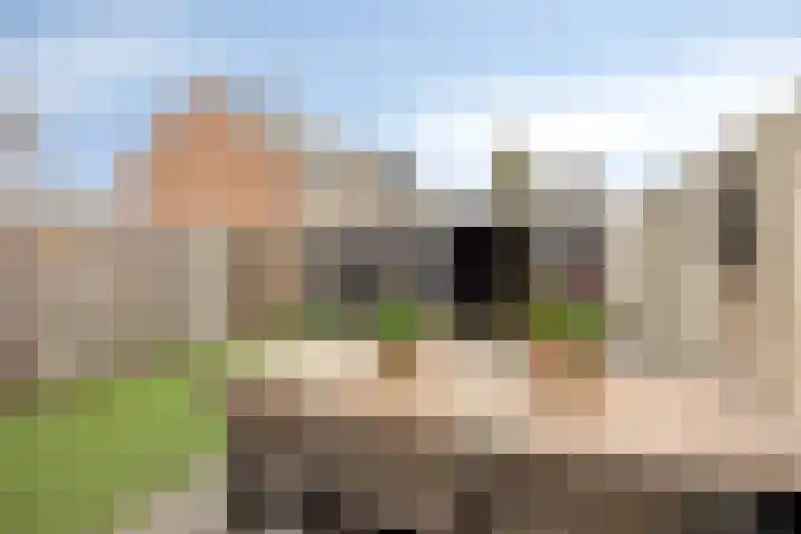 Jan van Kanrede 16 Capelle aan den IJssel thumbnail 21