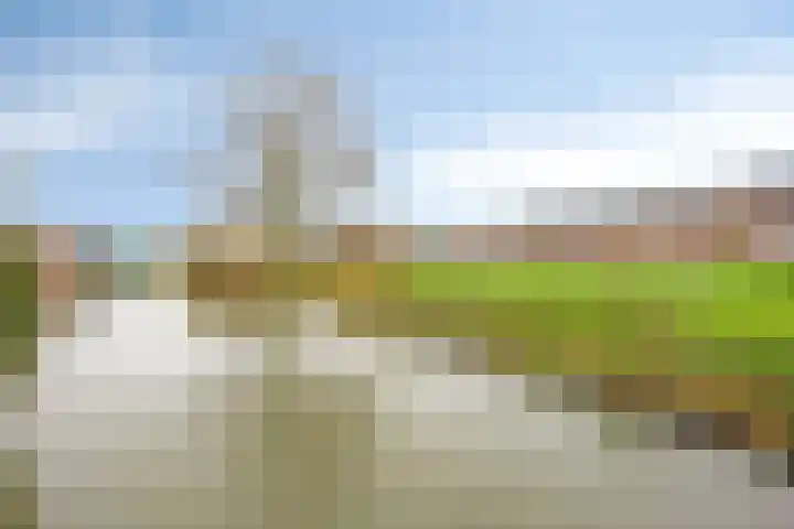 Jan van Kanrede 16 Capelle aan den IJssel thumbnail 24