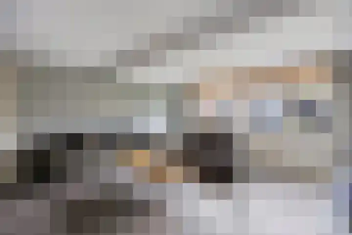 Jan van Kanrede 16 Capelle aan den IJssel thumbnail 6