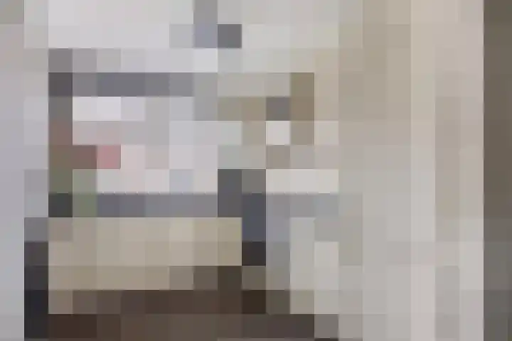 Jan van Kanrede 16 Capelle aan den IJssel thumbnail 8