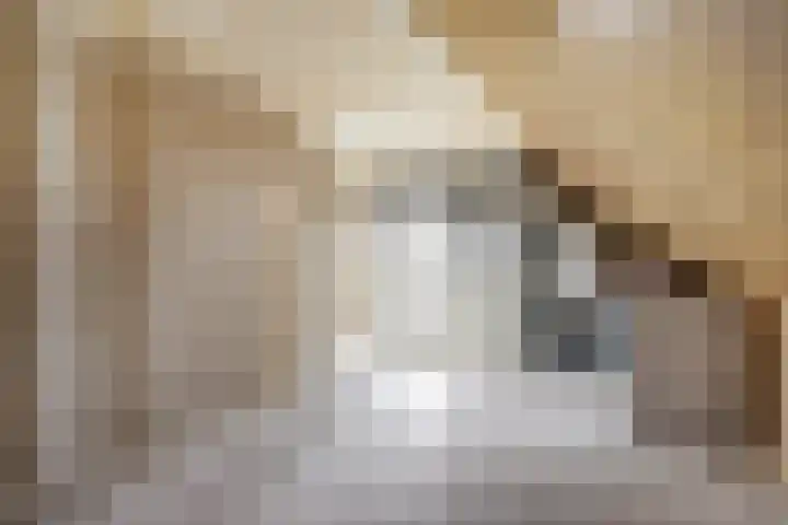 Jan van Kanrede 2 Capelle aan den IJssel thumbnail 16