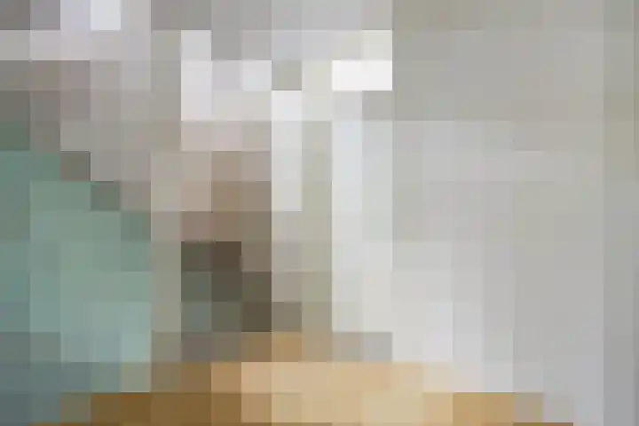 Jan van Kanrede 2 Capelle aan den IJssel thumbnail 6