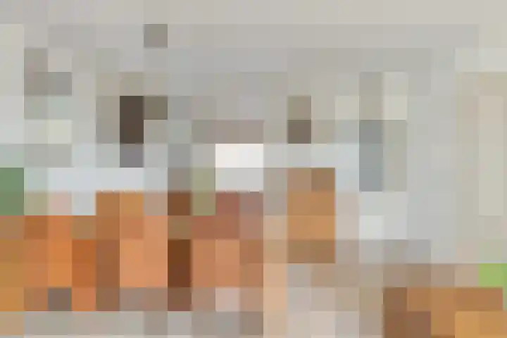 Jan van Kanrede 29 Capelle aan den IJssel thumbnail 10