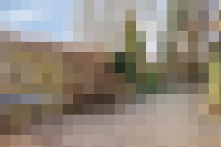 Jan van Kanrede 29 Capelle aan den IJssel thumbnail 25
