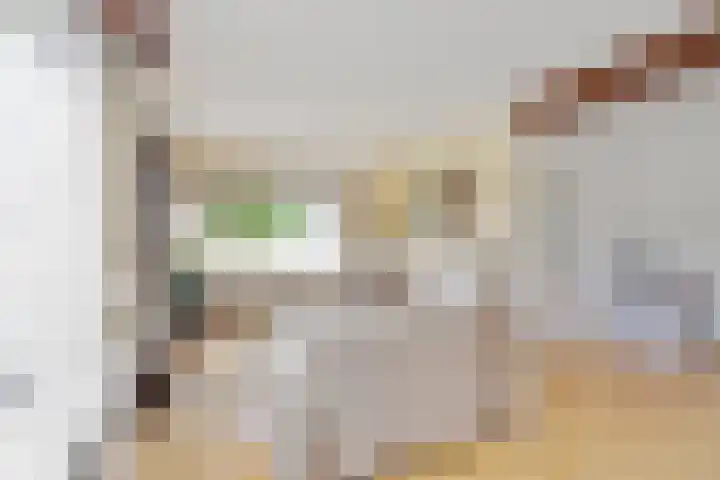 Jan van Kleefstraat 10 Lobith thumbnail 10