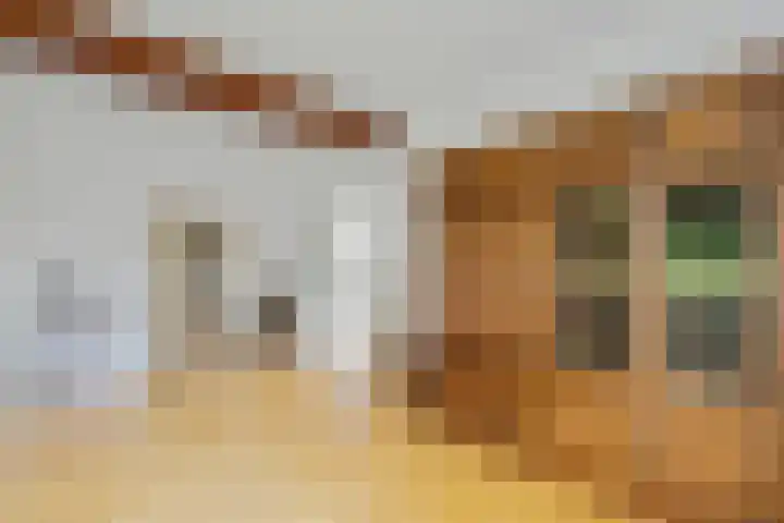 Jan van Kleefstraat 10 Lobith thumbnail 12
