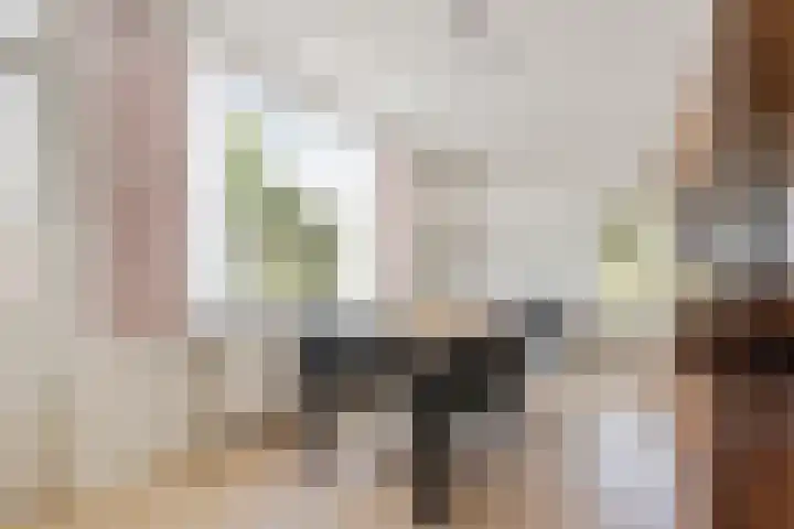 Jan van Kleefstraat 10 Lobith thumbnail 15
