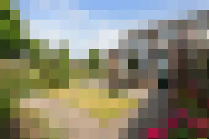 Jan van Kleefstraat 10 Lobith thumbnail 17