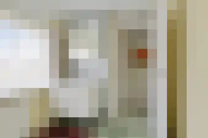 Jan van Kleefstraat 10 Lobith thumbnail 27