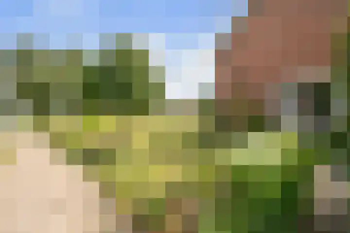 Jan van Kleefstraat 10 Lobith thumbnail 30