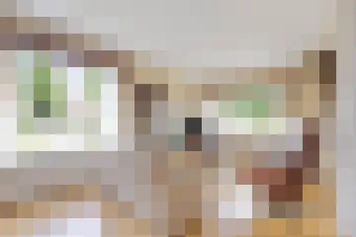 Jan van Kleefstraat 10 Lobith thumbnail 9