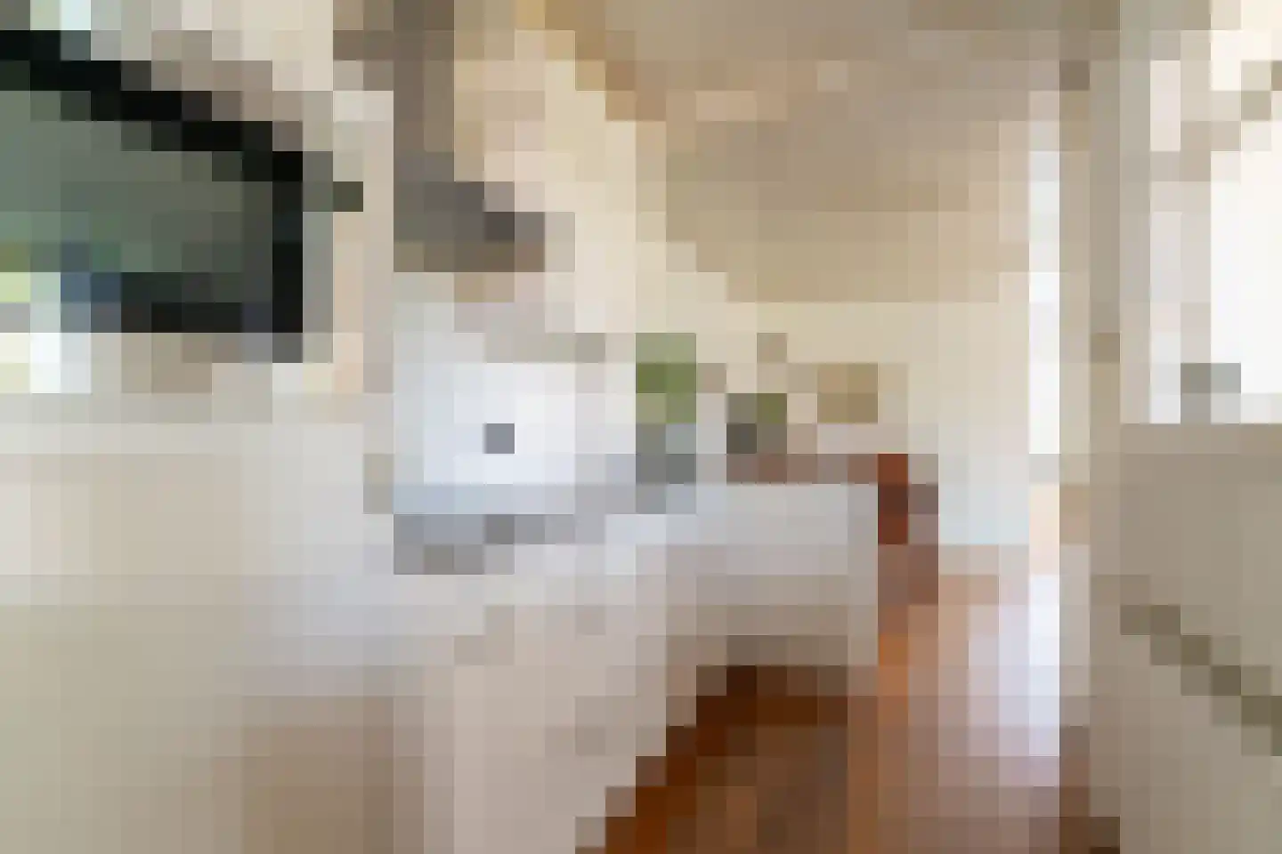 Jan van Kleefstraat 20 Lobith thumbnail 16