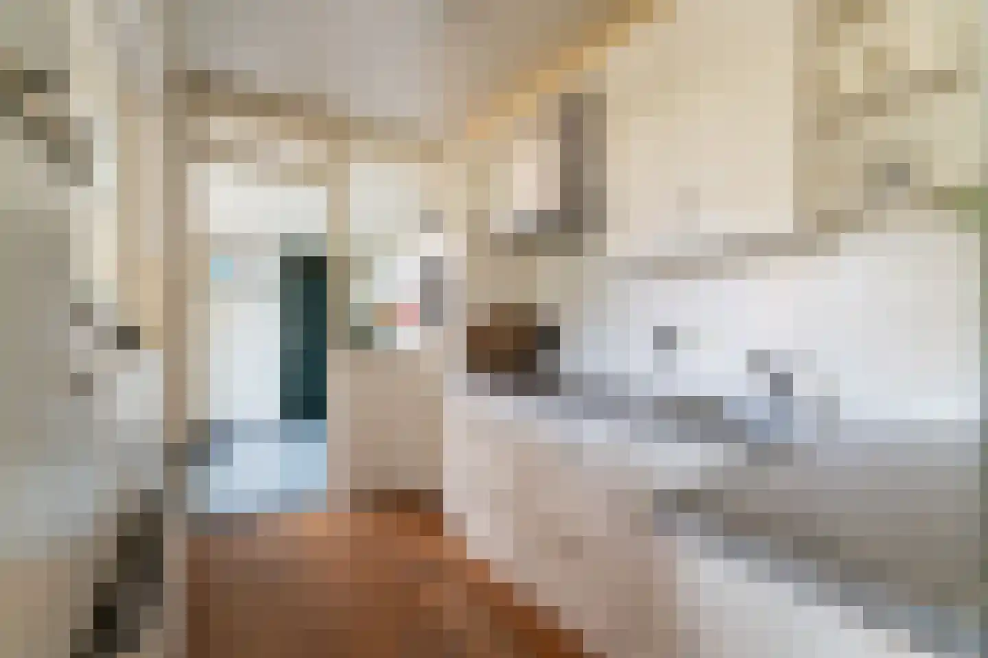 Jan van Kleefstraat 20 Lobith thumbnail 18