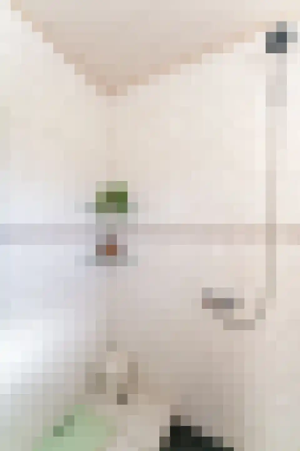 Jan van Kleefstraat 20 Lobith thumbnail 31