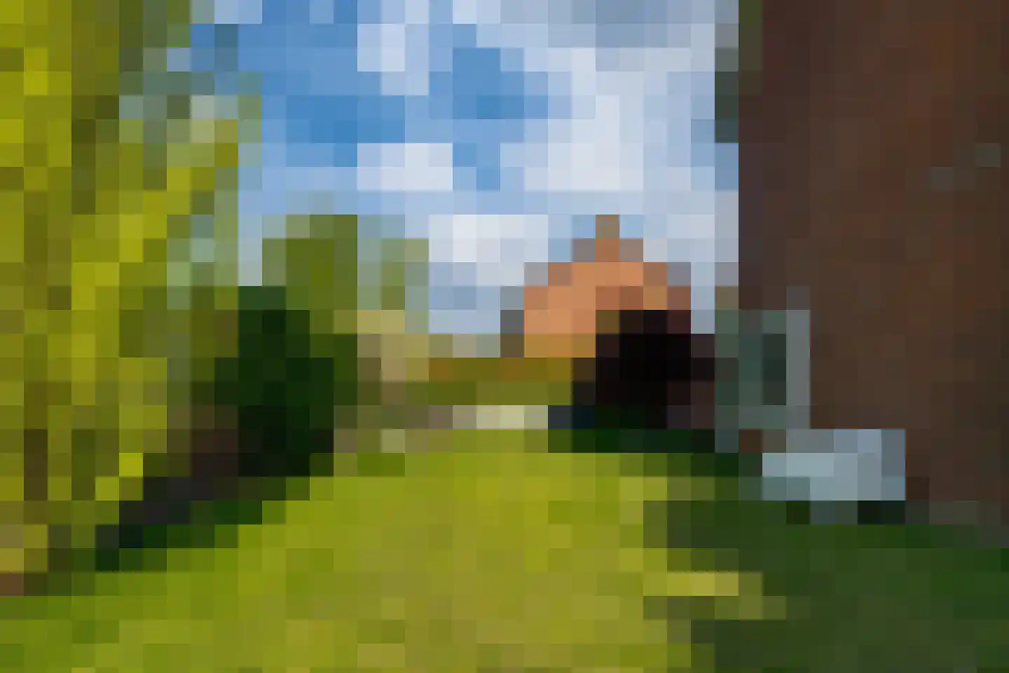 Jan van Kleefstraat 20 Lobith thumbnail 45