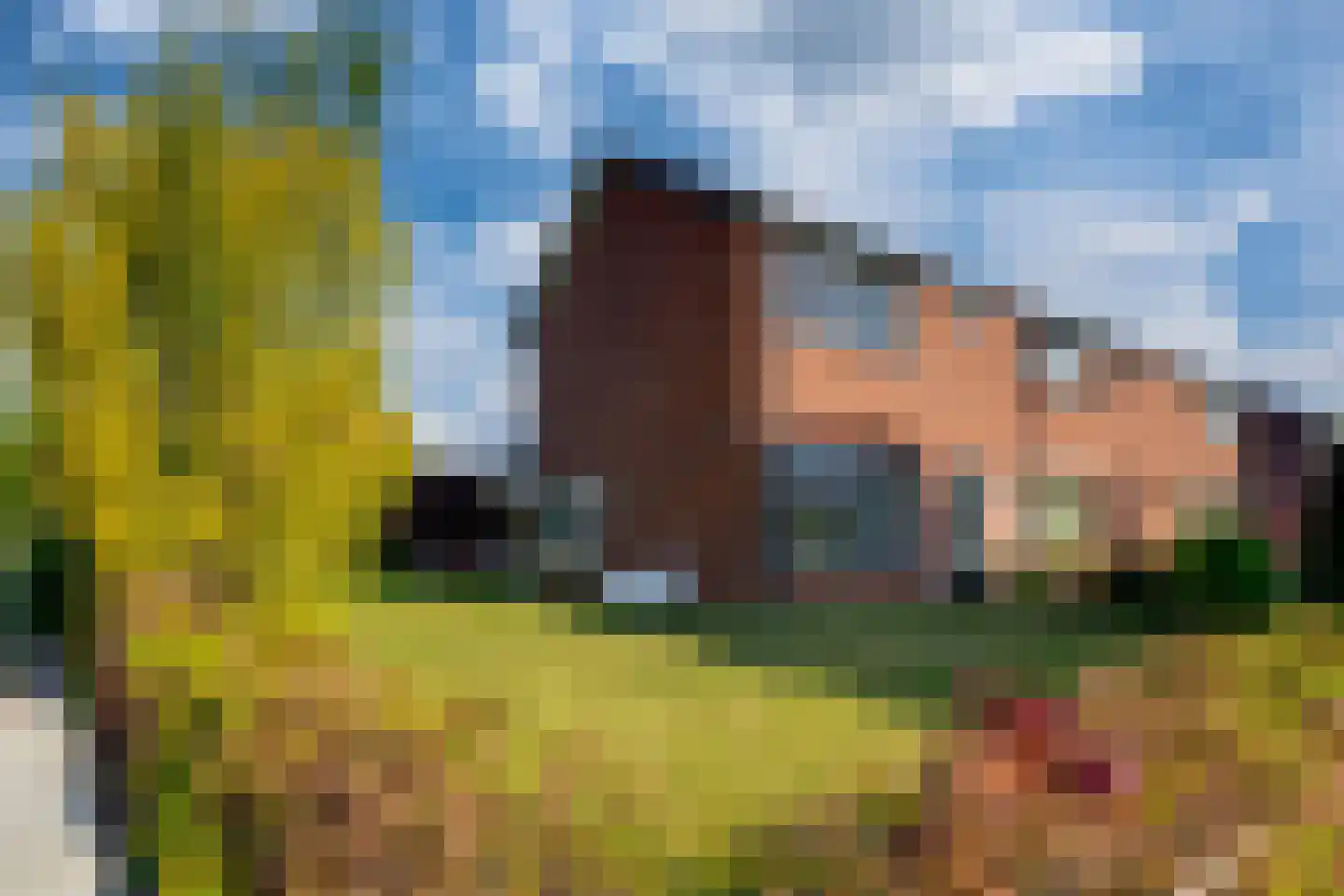 Jan van Kleefstraat 20 Lobith thumbnail 6