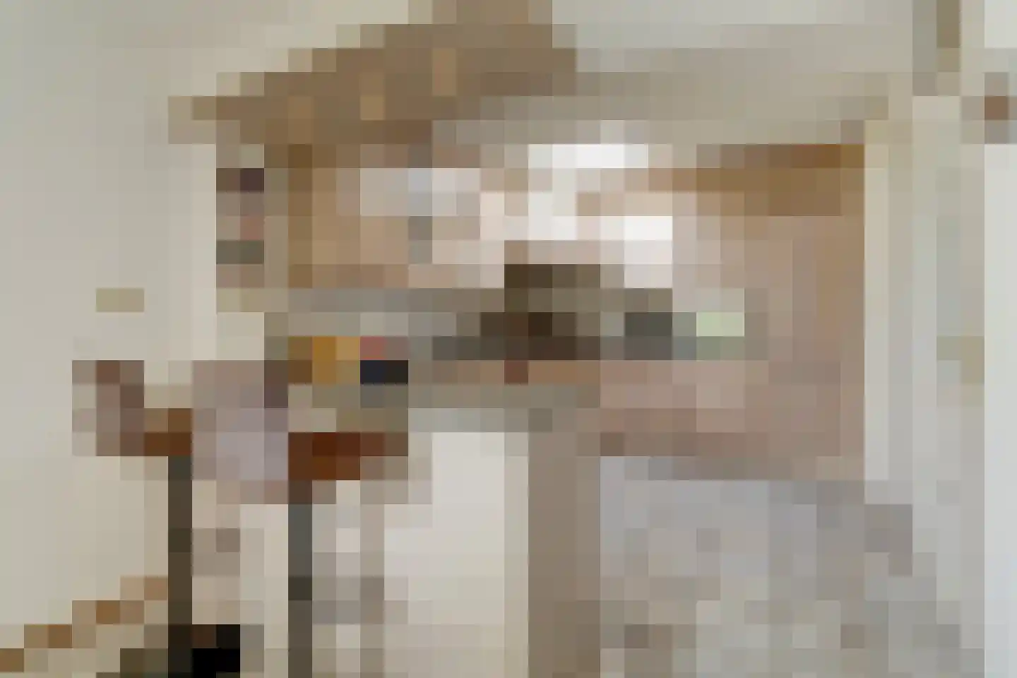 Jan van Kleefstraat 36 Lobith thumbnail 11