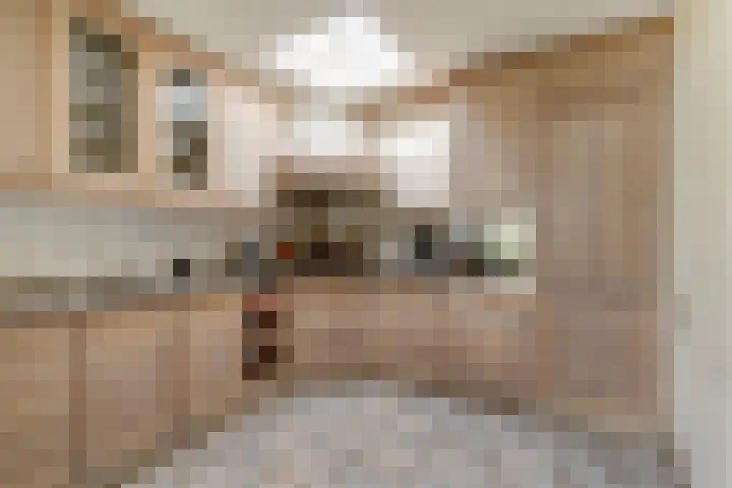 Jan van Kleefstraat 36 Lobith thumbnail 12