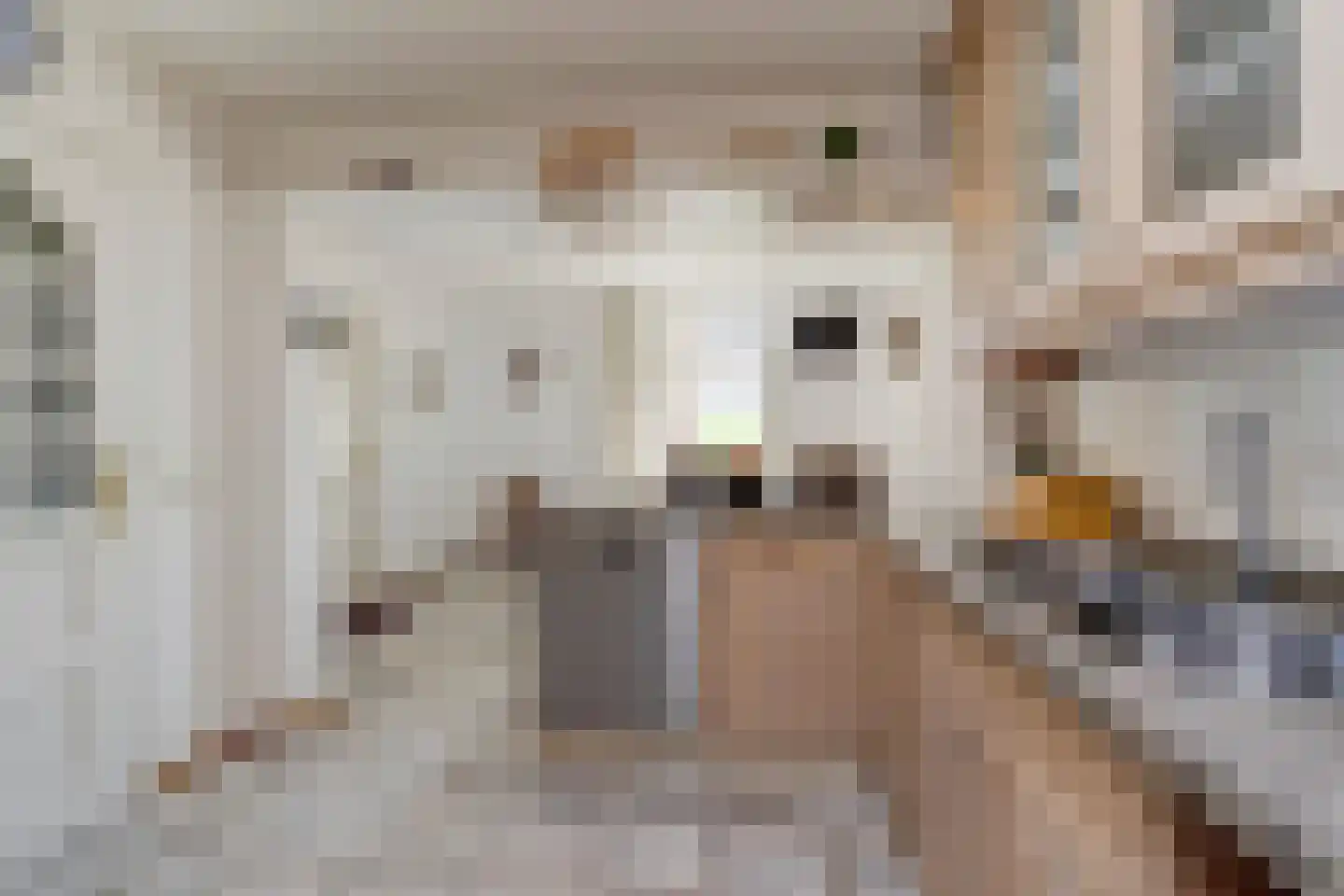 Jan van Kleefstraat 36 Lobith thumbnail 14