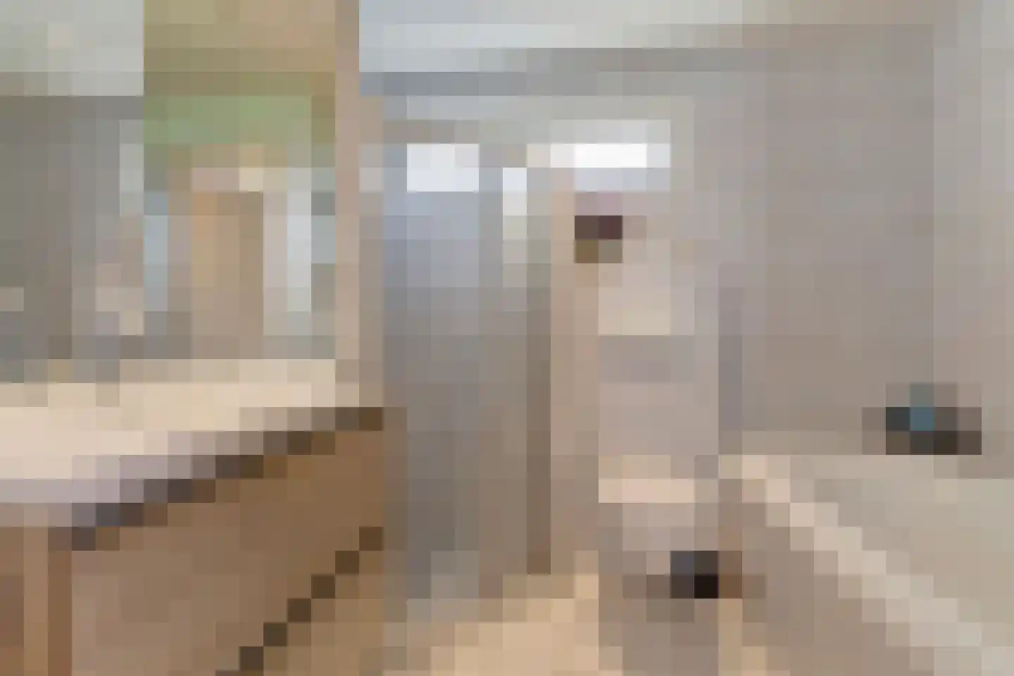 Jan van Kleefstraat 36 Lobith thumbnail 23