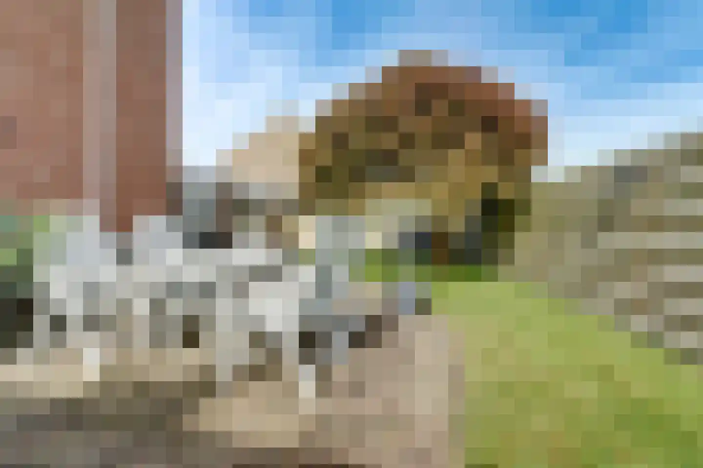 Jan van Kleefstraat 36 Lobith thumbnail 29