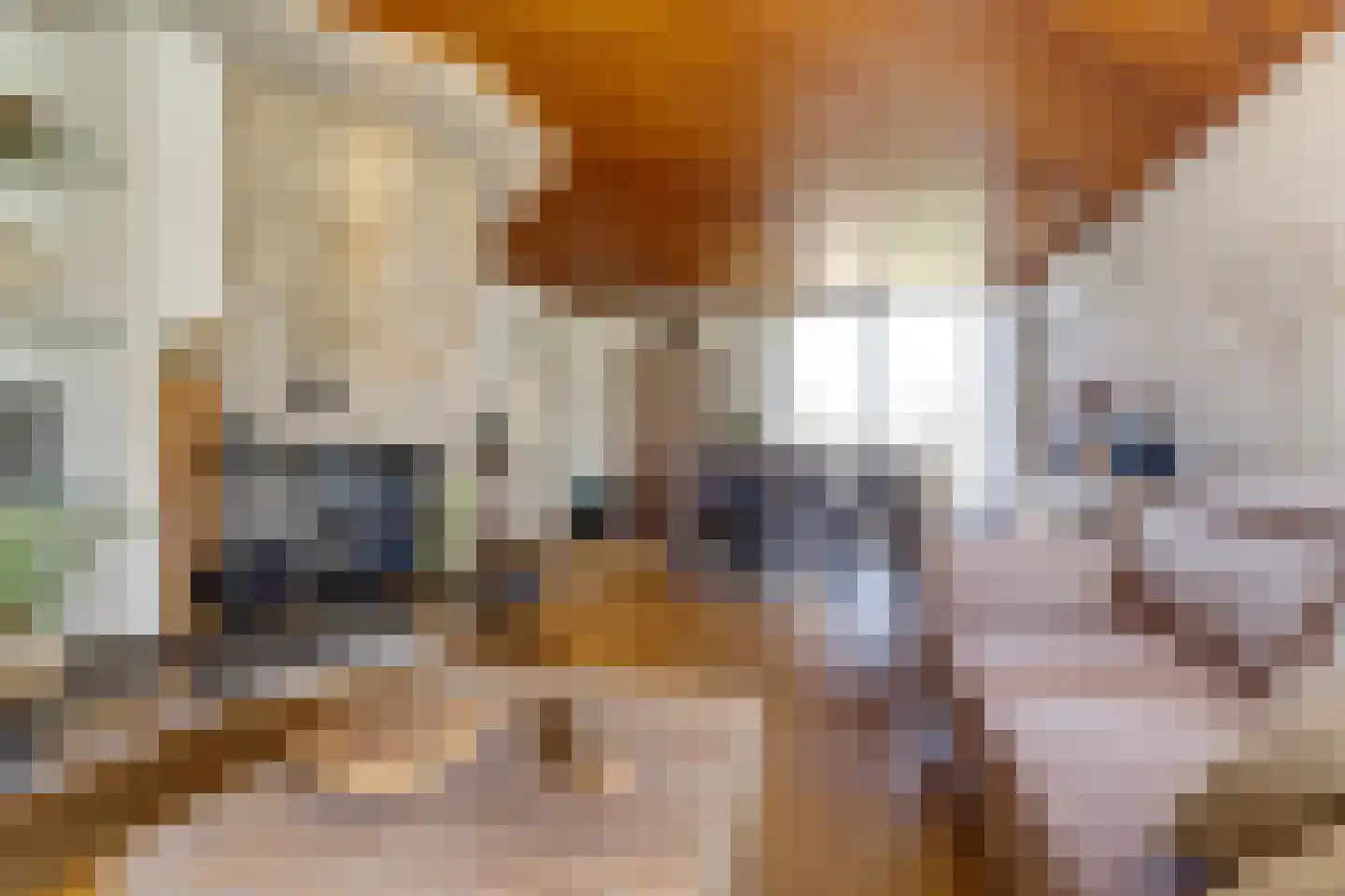 Jan van Kleefstraat 36 Lobith thumbnail 9