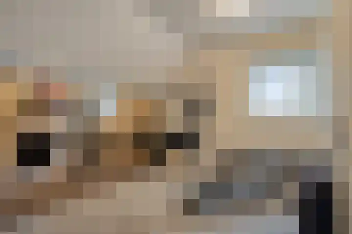 Jan van Kuikweg 128 Heemskerk thumbnail 20