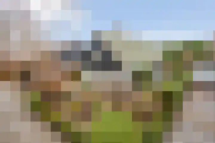 Jan van Kuikweg 128 Heemskerk thumbnail 34