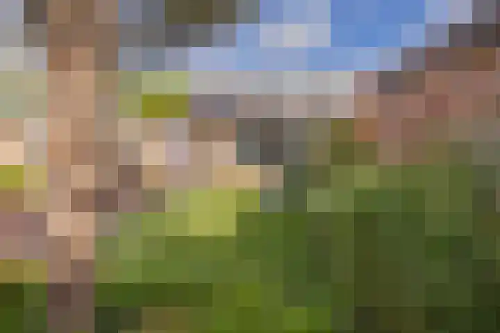 Jan van Kuikweg 130 Heemskerk thumbnail 67