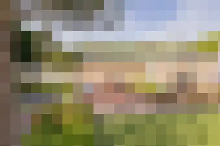 Jan van Kuikweg 130 Heemskerk thumbnail 77