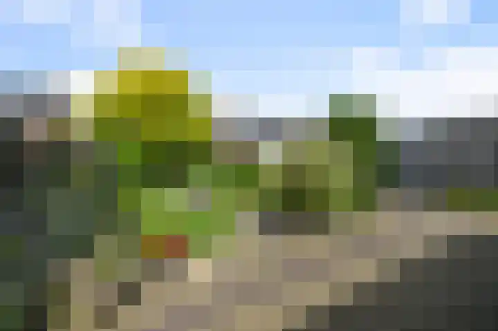 Jan van Kuikweg 133 Heemskerk thumbnail 11