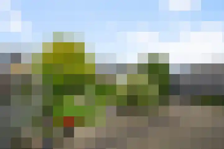 Jan van Kuikweg 133 Heemskerk thumbnail 13