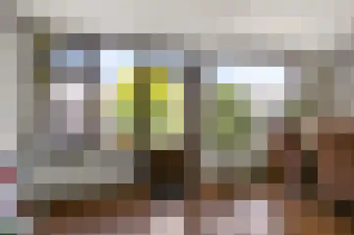 Jan van Kuikweg 133 Heemskerk thumbnail 8