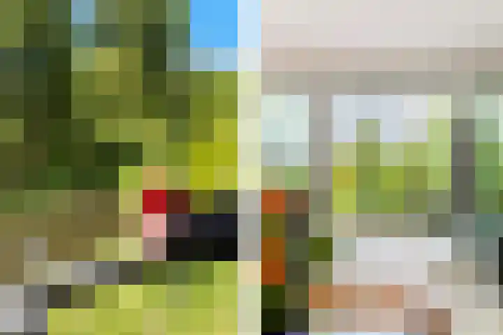 Jan van Kuikweg 180 Heemskerk thumbnail 18