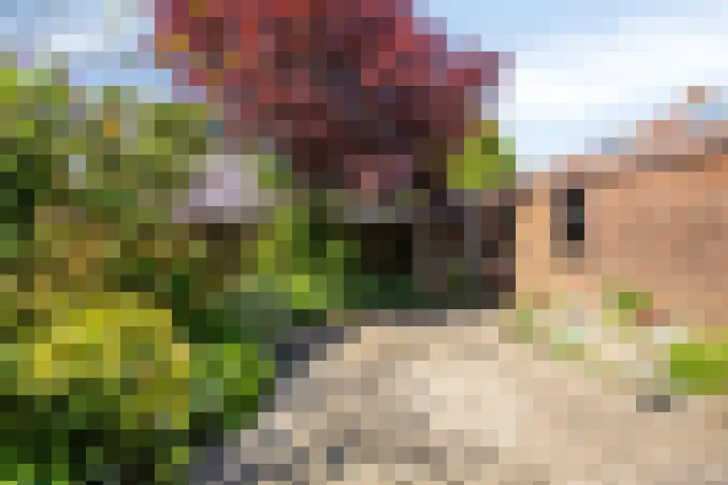 Jan van Kuikweg 191 Heemskerk thumbnail 30