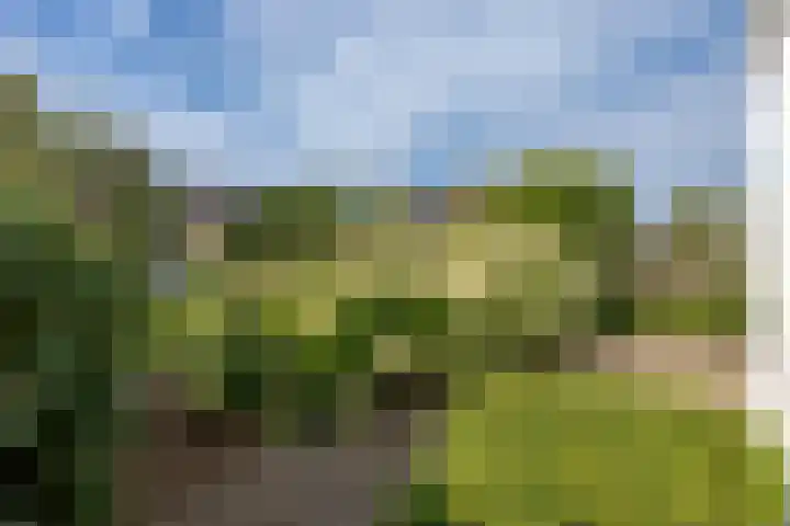 Jan van Kuikweg 48 Heemskerk thumbnail 5