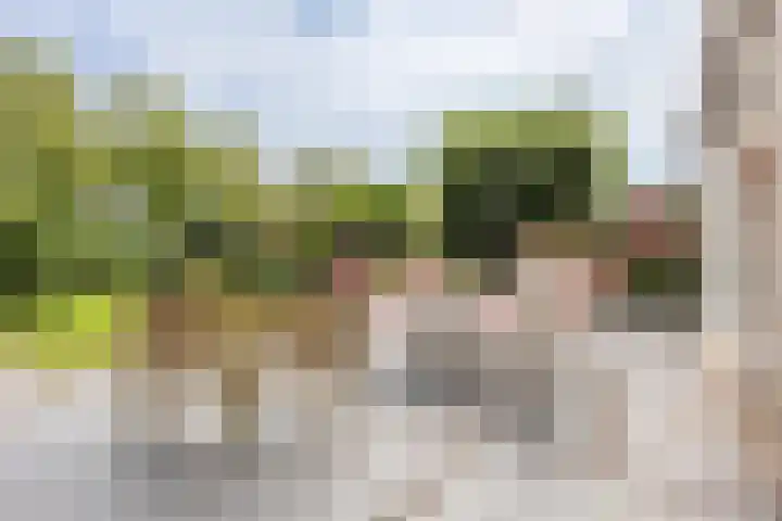 Jan van Kuikweg 48 Heemskerk thumbnail 51
