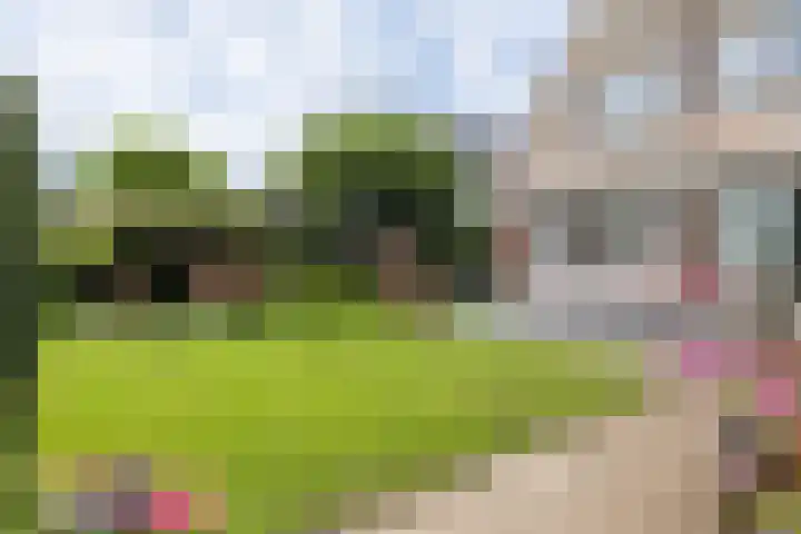 Jan van Kuikweg 48 Heemskerk thumbnail 53