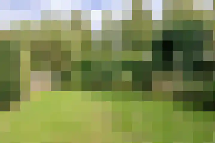 Jan van Kuikweg 48 Heemskerk thumbnail 55