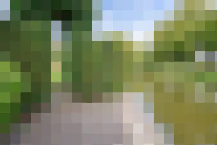 Jan van Kuikweg 48 Heemskerk thumbnail 59