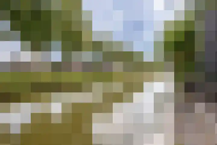 Jan van Kuikweg 48 Heemskerk thumbnail 61