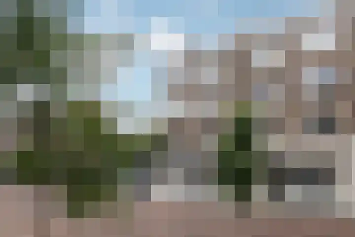 Jan van Loonshof 106 B Rotterdam thumbnail 18