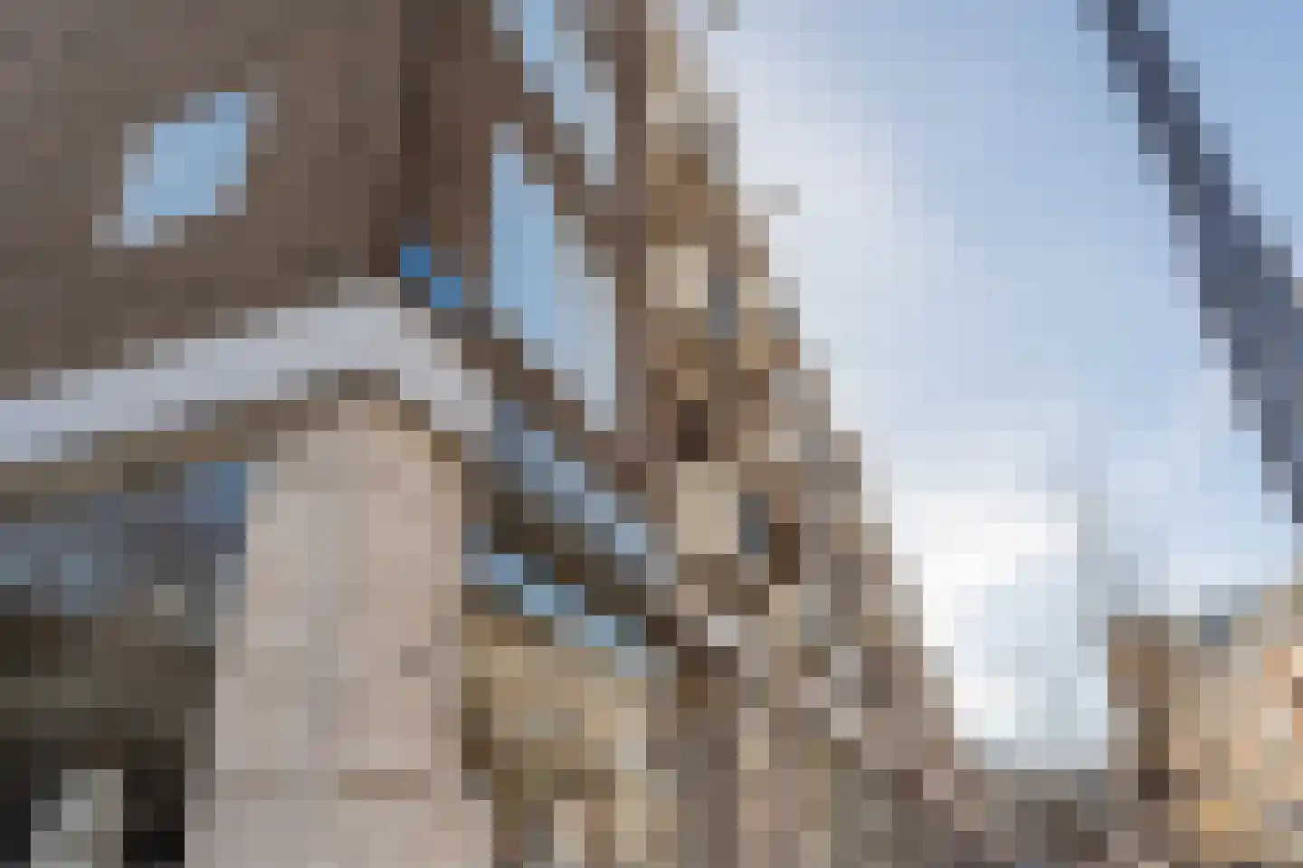 Jan van Loonshof 110 D Rotterdam thumbnail 25