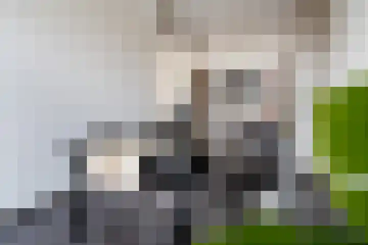 Jan van Loonshof 122 C Rotterdam thumbnail 18